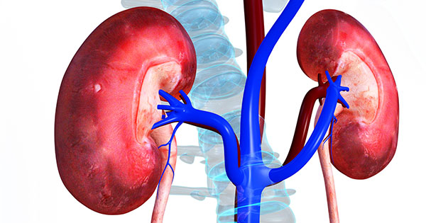 sintomas insuficiencia renal aguda