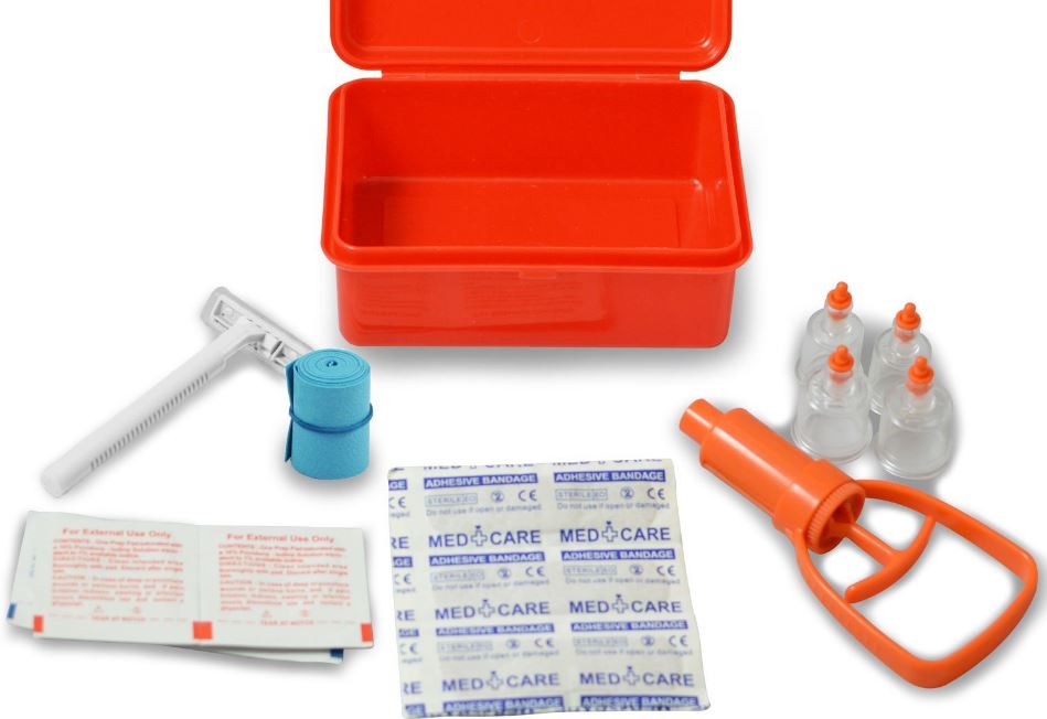 como curar una picadura de avispa como curar una picadura de avispa