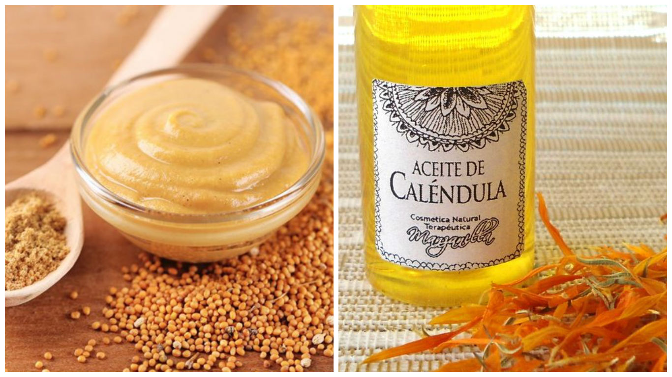 remedios para las picaduras de avispas remedios para las picaduras de avispas