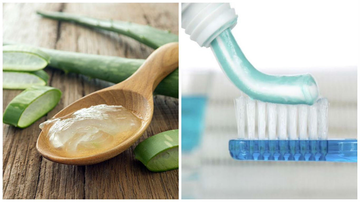 remedios para picadura de avispa remedios para picadura de avispa