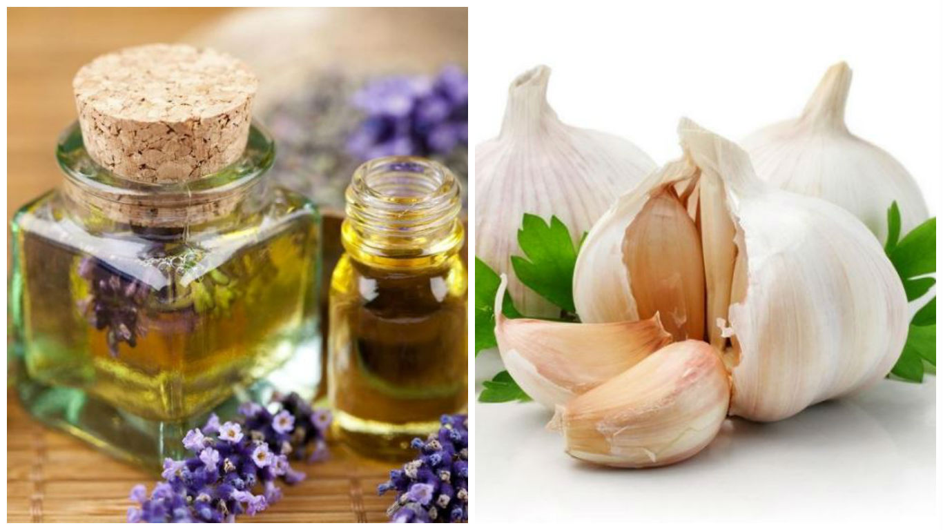 remedios para picaduras de abejas remedios para picaduras de abejas