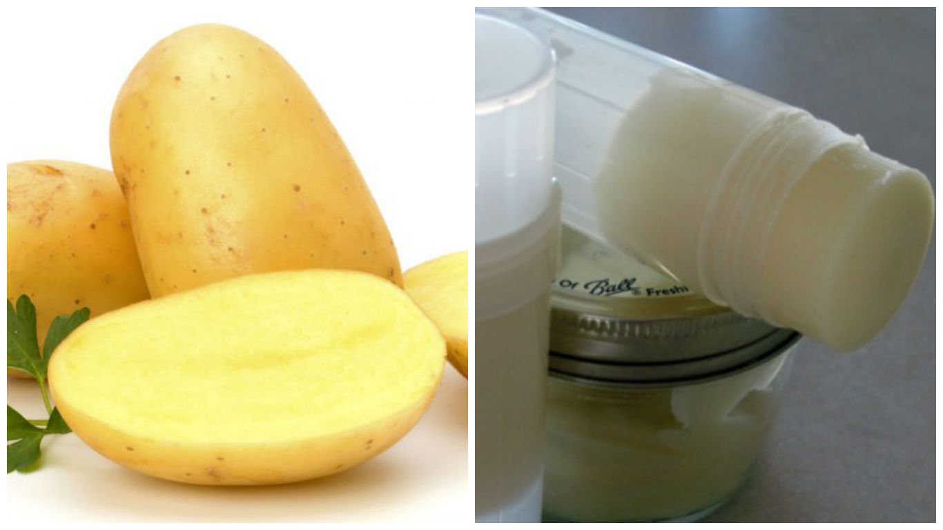 remedios para picaduras de avispas remedios para picaduras de avispas