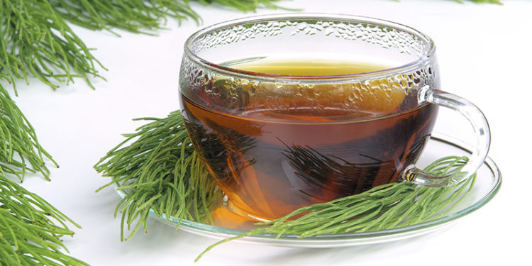 infusion cola de caballo para que sirve