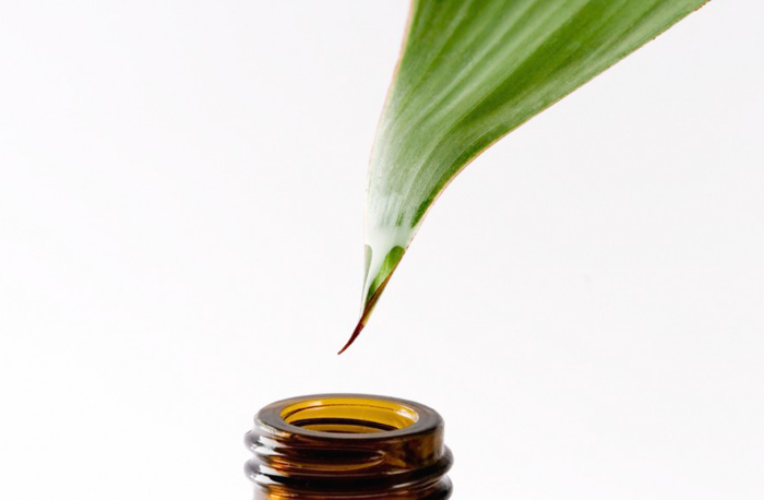 aceite de arbol de te comprar