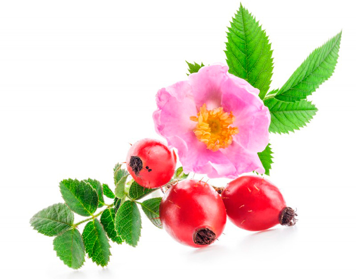 aceite rosa mosqueta cicatrices