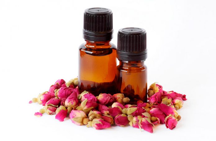 donde comprar rosa mosqueta