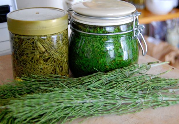 infusion cola caballo beneficios