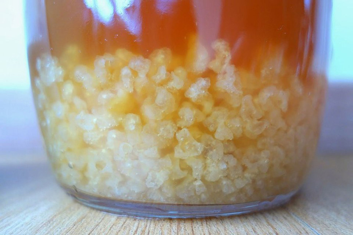 kefir de agua comprar
