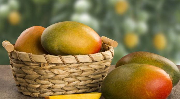 mango africano para adelgazar opiniones