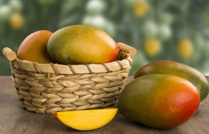 mango africano para adelgazar opiniones