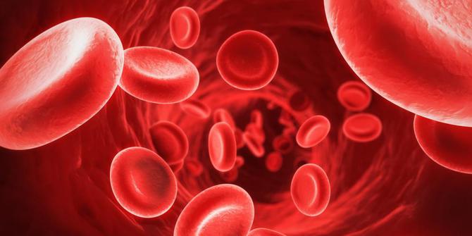 que es la enfermedad anemia perniciosa que es la enfermedad anemia perniciosa