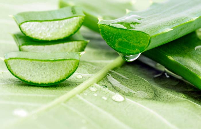 tratamiento almorrana con aloe vera tratamiento almorrana con aloe vera