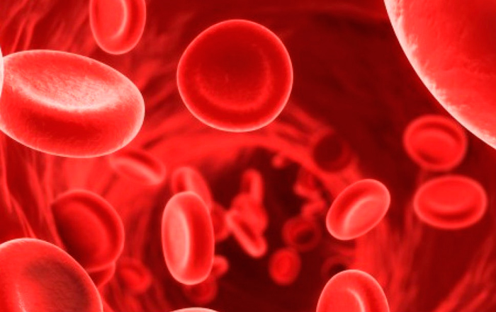 anemia macrocitica tratamiento
