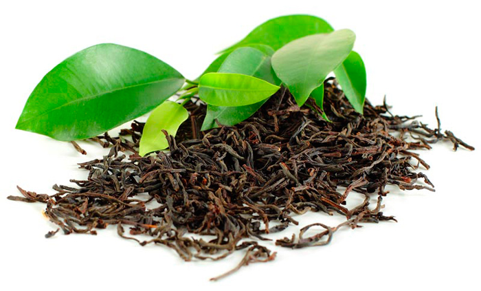 té negro beneficios