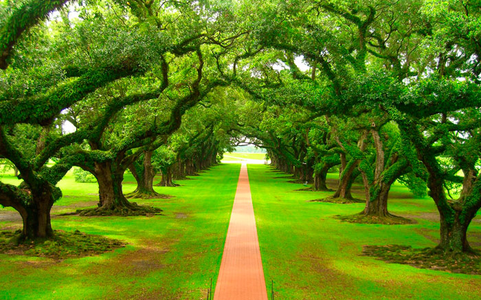 crisis existencia que hacer crisis existencia que hacer