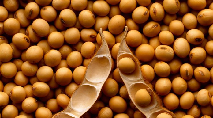 propiedades y beneficios de la soja natural