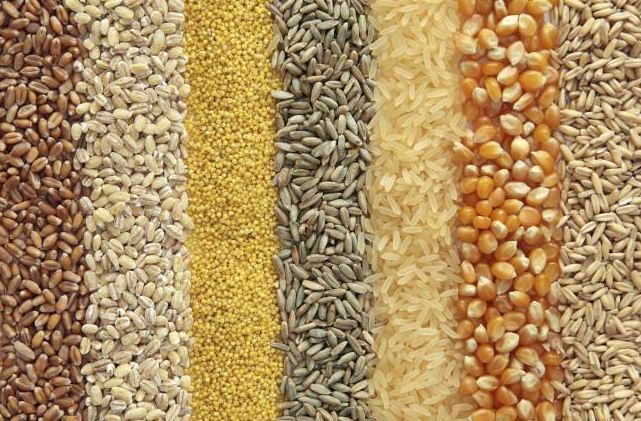 alimentos ricos en proteínas cereales