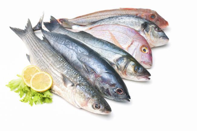 que alimentos son proteinas pescado