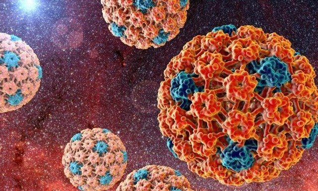 virus papiloma humano fotos imagenes