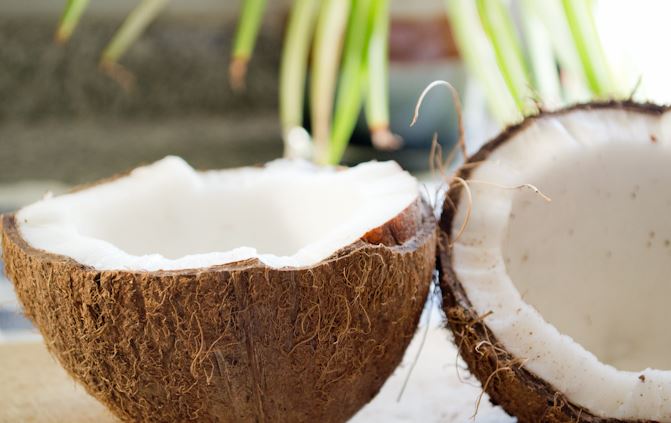 como abrir un coco con exito