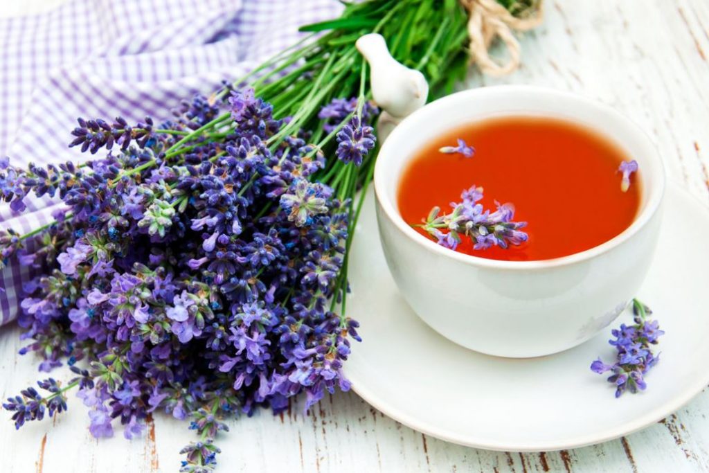 como preparar una infusion de lavanda