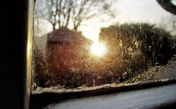 donde comprar zeolita para la humedad