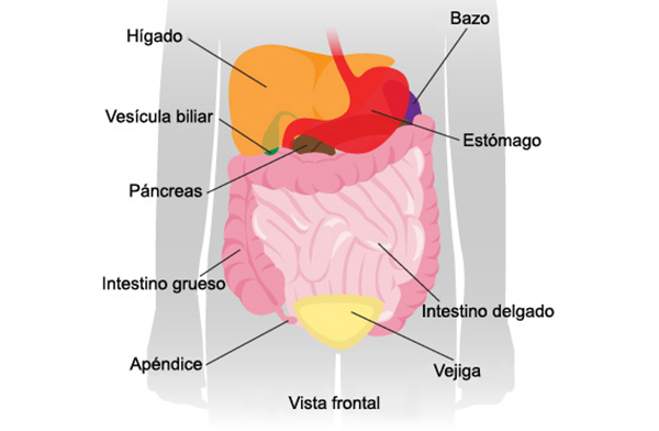 dolor debajo de las costillas lado derecho