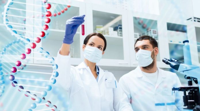 como subir los neutrofilos de forma natural