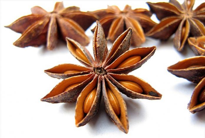 anis planta medicinal