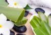 como utilizar el aloe vera de la planta