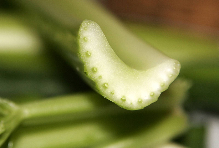 pepino propiedades y contraindicaciones