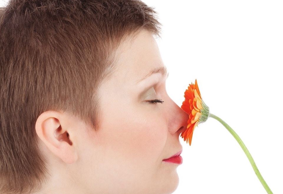 sinusitis tratamiento natural efectivo sinusitis tratamiento natural efectivo