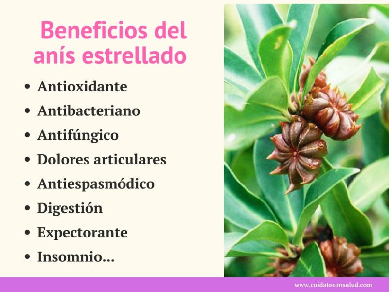 beneficios del anis estrellado para la salud 