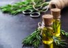 como usar el aceite de romero para la circulacion