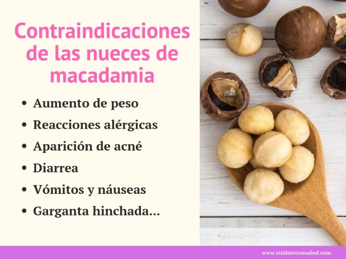 contraindicaciones de las nueces de macadamia