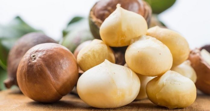 nueces macadamia mercadona precio