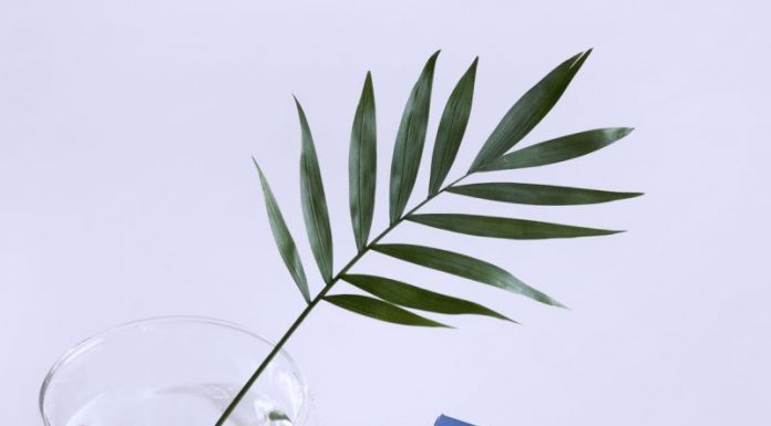 reducir bolsas ojos sin cirugia