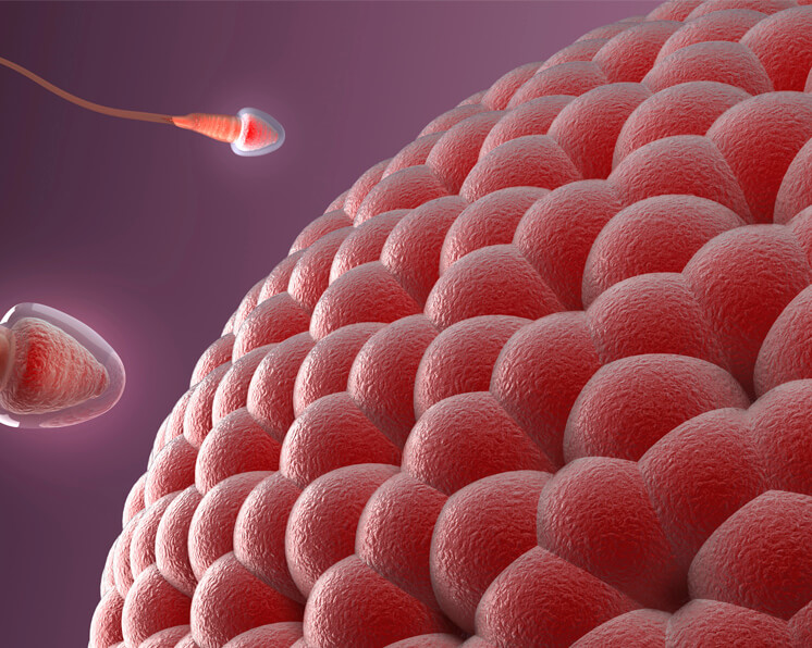 dolor costillas lado derecho ovulacion