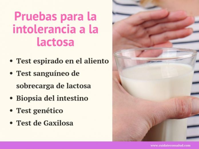 Cómo es la Prueba de la Intolerancia a la Lactosa 】 ® Cómo es la Prueba de la Intolerancia a la Lactosa 】 ®