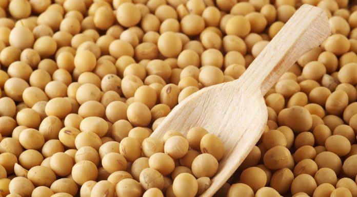 para que sirve la lecitina de soya