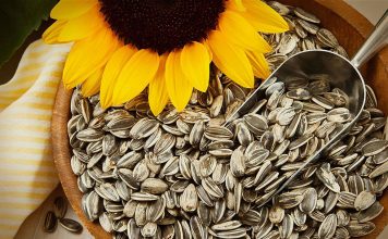Semillas de girasol; Valor nutricional, beneficios y propiedades semillas de girasol como consumirlas