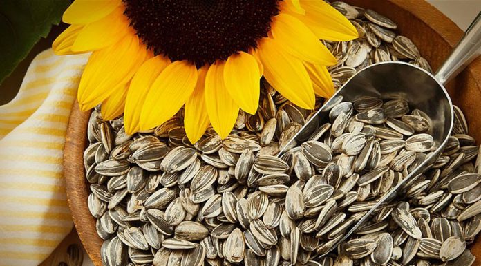 semillas de girasol como consumirlas