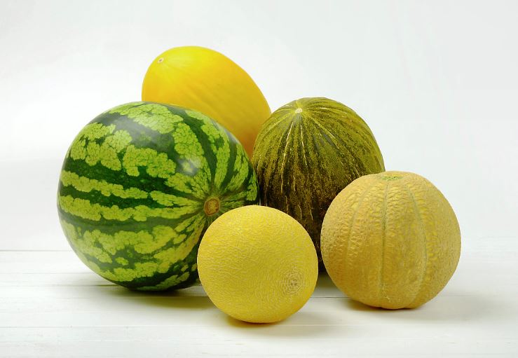 tipos de melon en españa