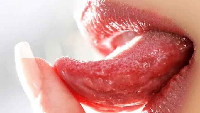 paladar lengua y papilas gustativas