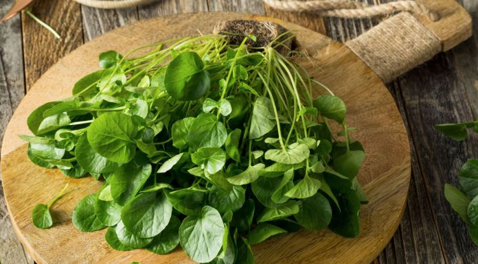 beneficios del berro para la salud