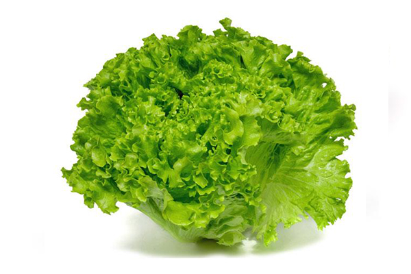 verduras que no producen gases