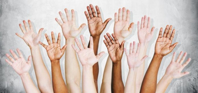 informacion sobre la melanina