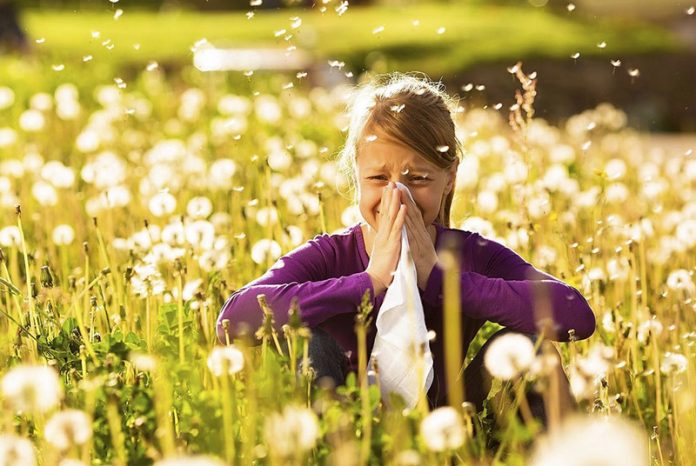 remedios caseros para la alergia remedios caseros para la alergia