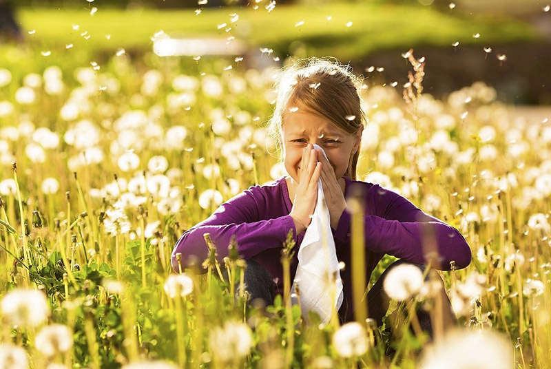 remedios caseros para la alergia remedios caseros para la alergia