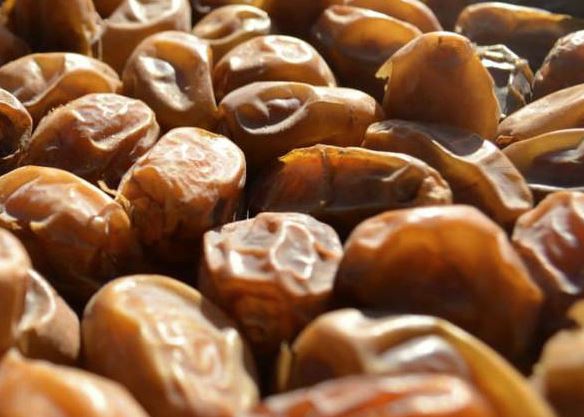 datiles halawy tipo de datil datiles halawy tipo de datil